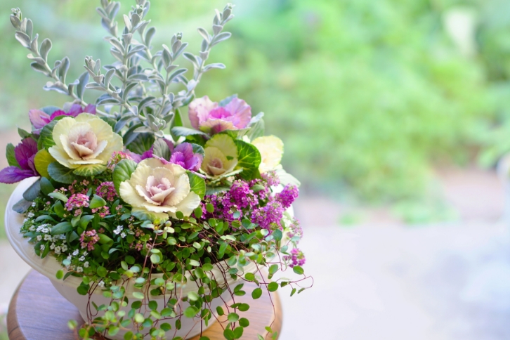 冬の寄せ植え教室